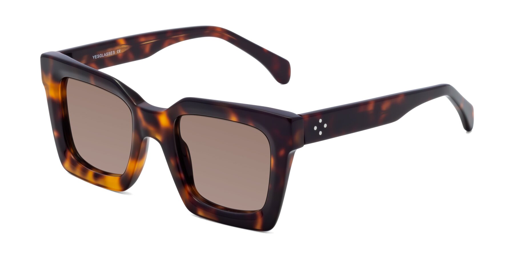 Angle of Piper in Tortoise with Medium Brown Tinted Lenses