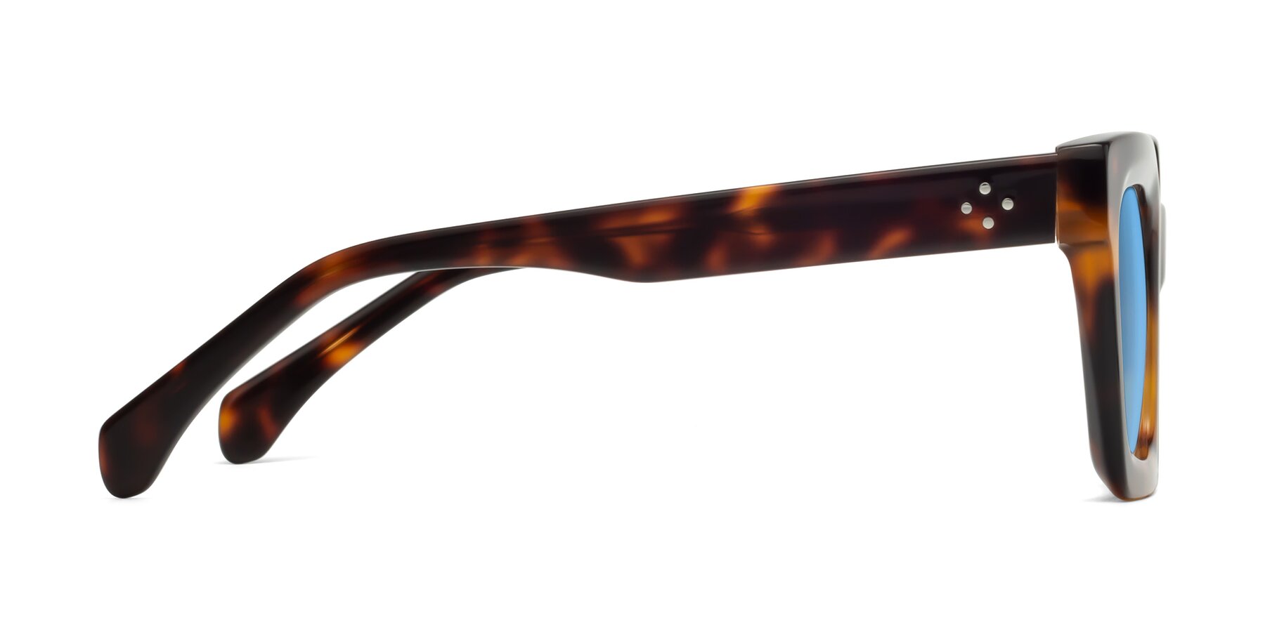 Side of Piper in Tortoise with Medium Blue Tinted Lenses