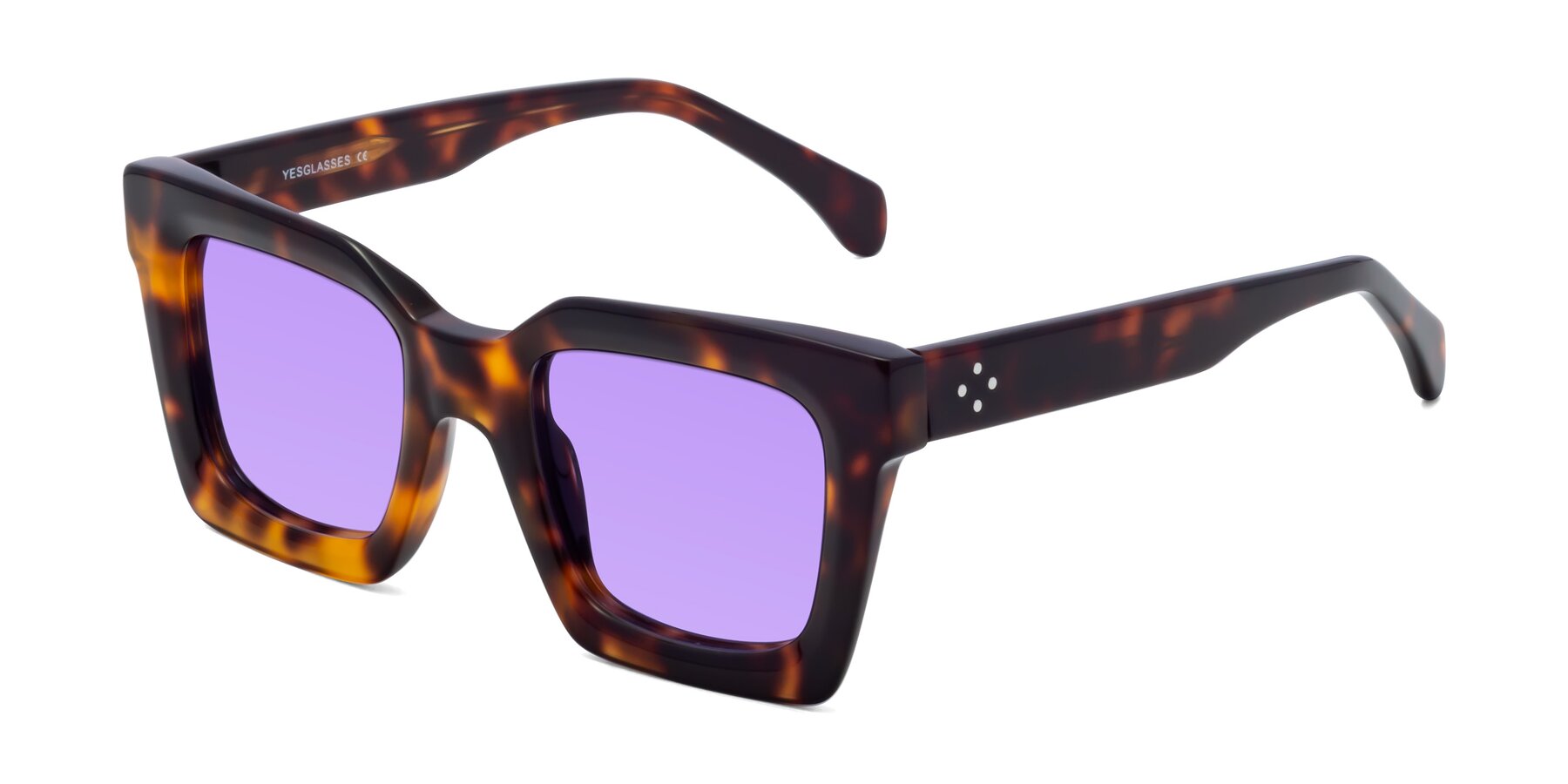 Angle of Piper in Tortoise with Medium Purple Tinted Lenses