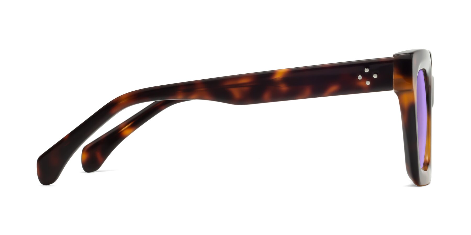 Side of Piper in Tortoise with Medium Purple Tinted Lenses