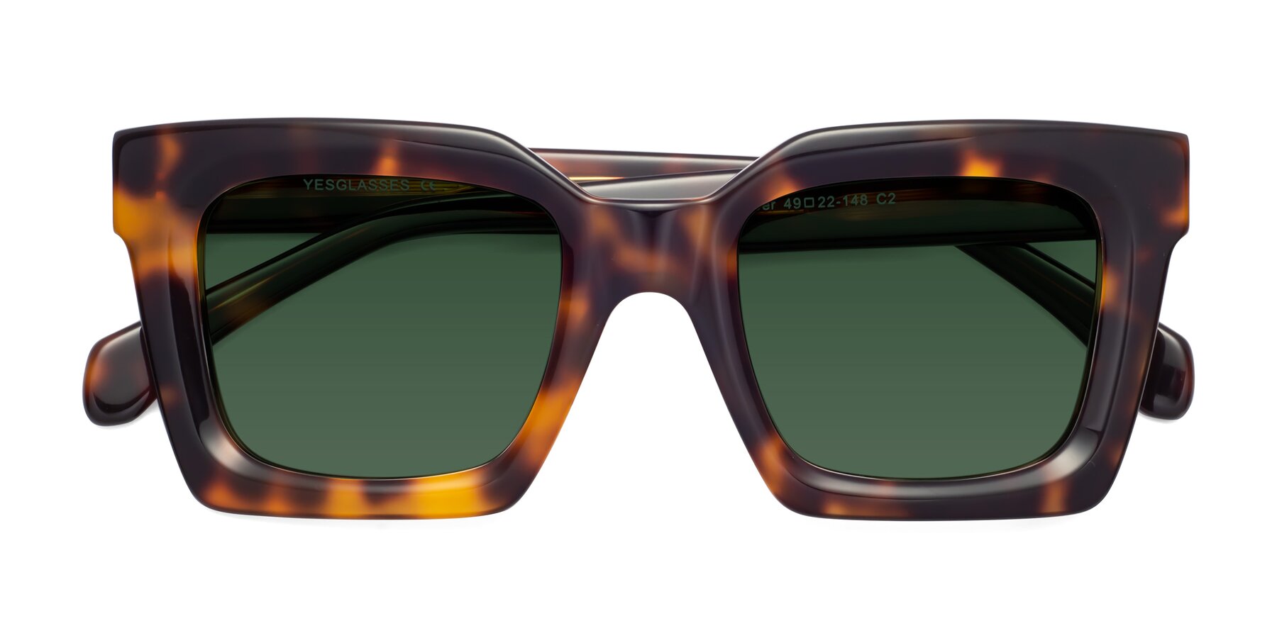 Folded Front of Piper in Tortoise with Green Tinted Lenses