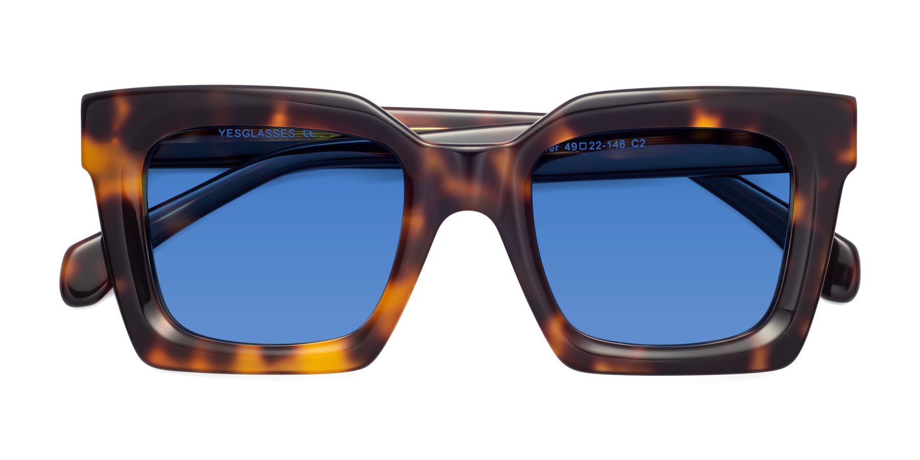 Folded Front of Piper in Tortoise with Blue Tinted Lenses