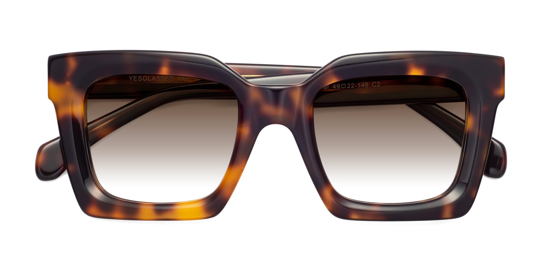 Folded Front of Piper in Tortoise with Brown Gradient Lenses
