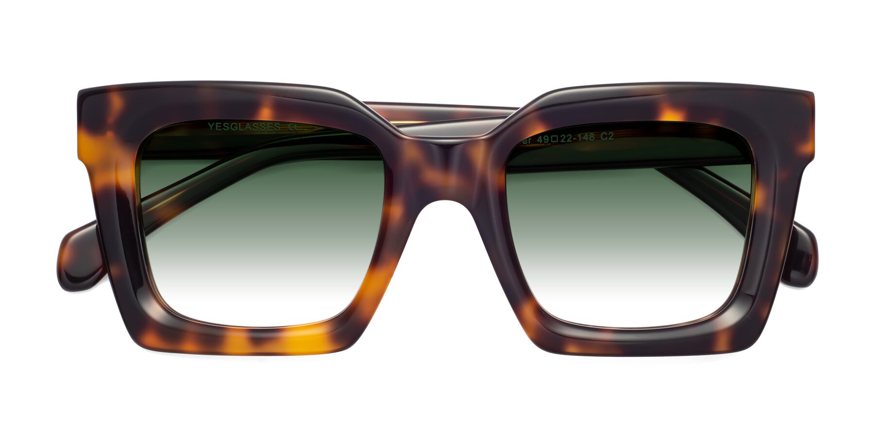 Folded Front of Piper in Tortoise with Green Gradient Lenses