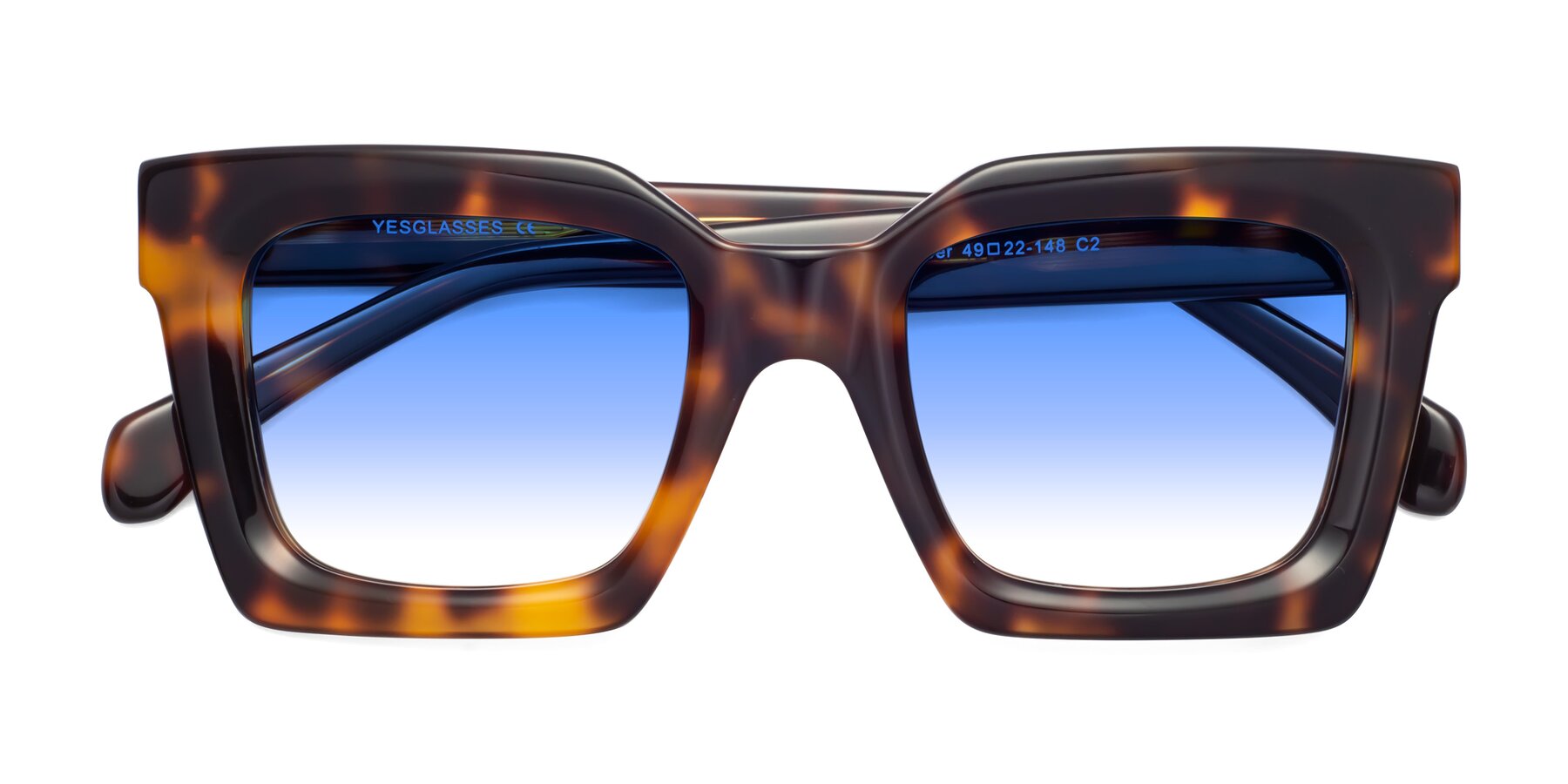 Folded Front of Piper in Tortoise with Blue Gradient Lenses