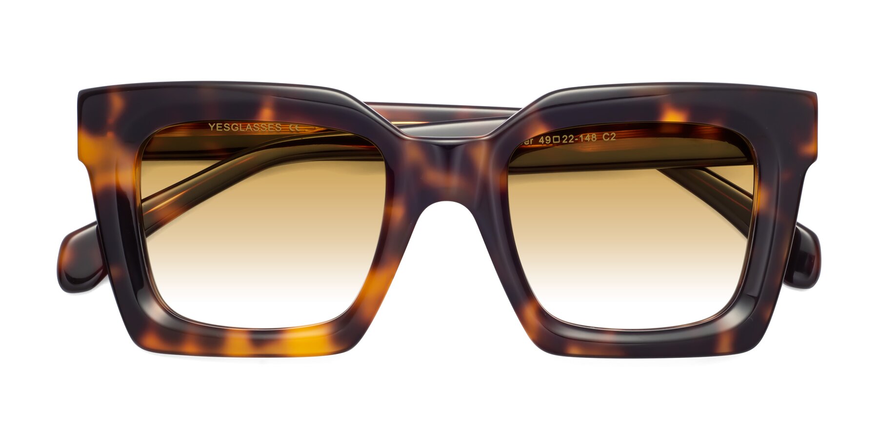 Folded Front of Piper in Tortoise with Champagne Gradient Lenses