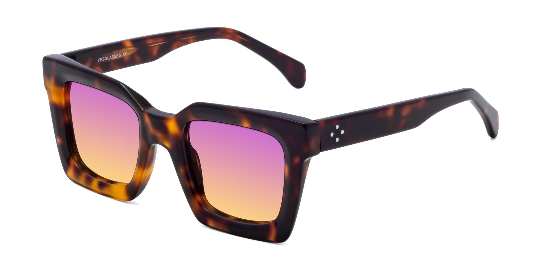 Angle of Piper in Tortoise with Purple / Yellow Gradient Lenses
