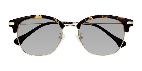 Front of Obrien in Tortoise