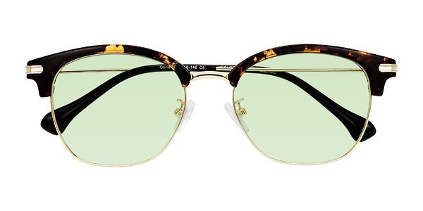 Front of Obrien in Tortoise