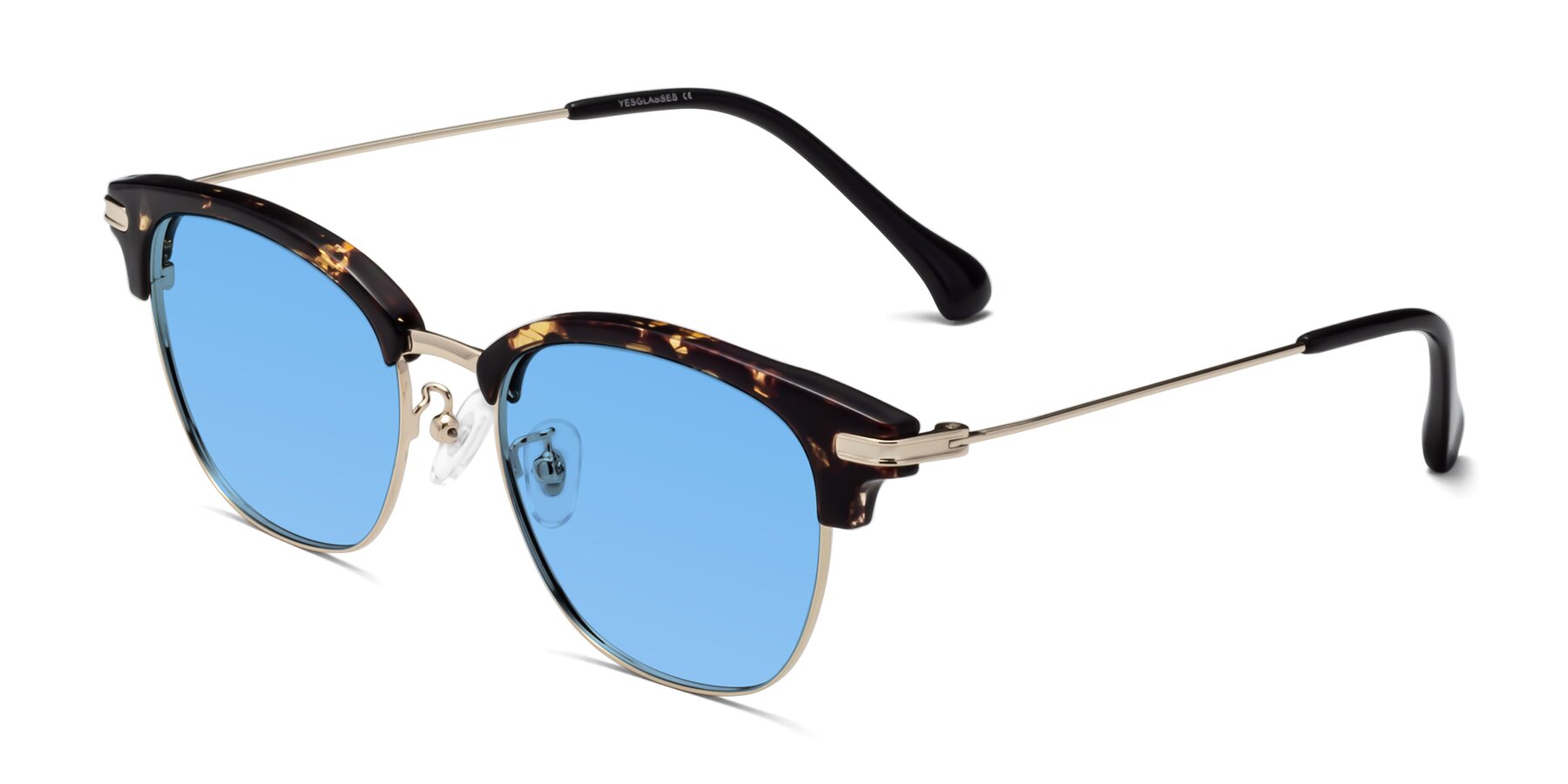 Angle of Obrien in Tortoise with Medium Blue Tinted Lenses