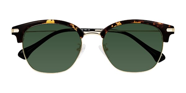 Front of Obrien in Tortoise