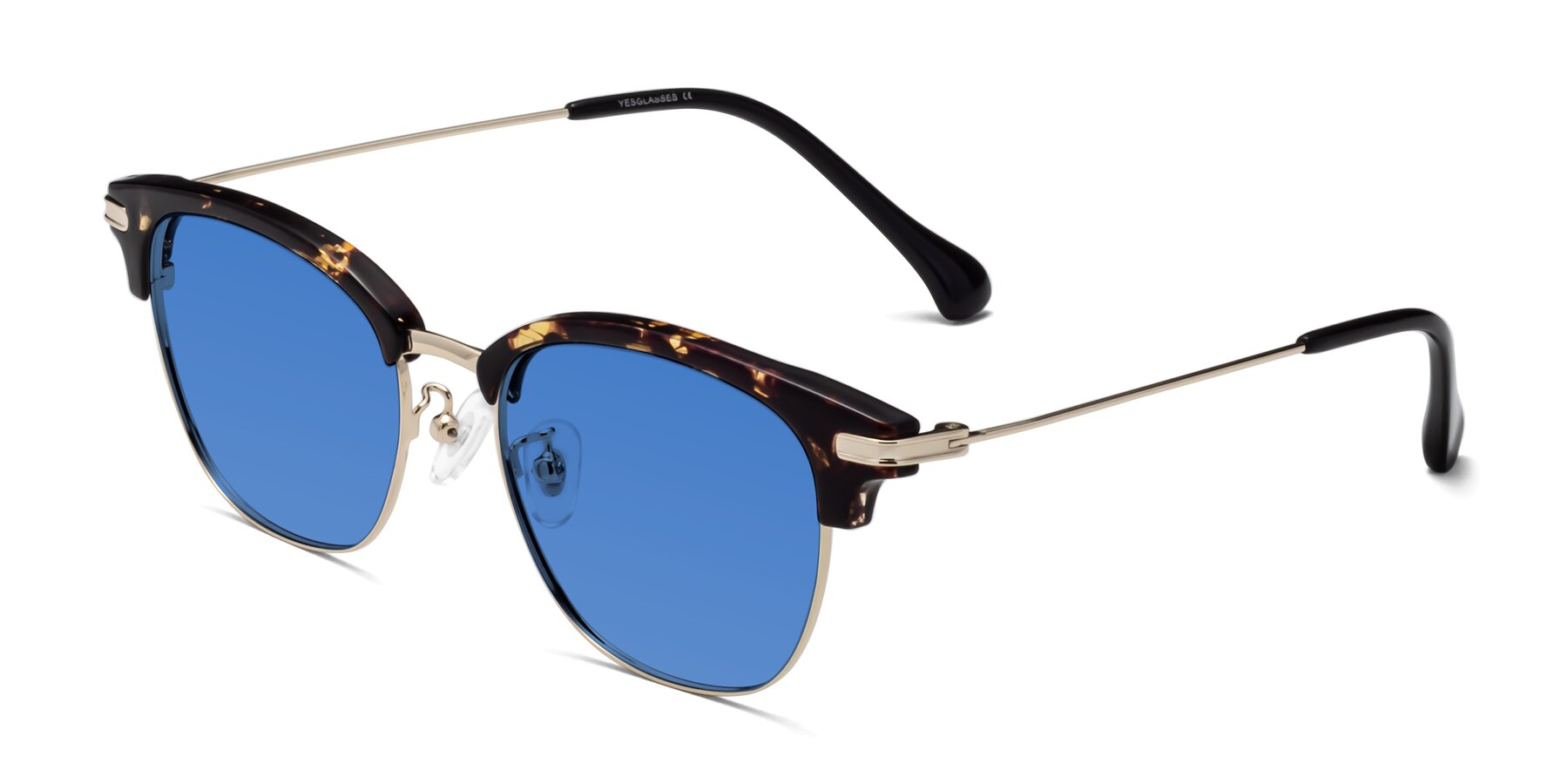 Angle of Obrien in Tortoise with Blue Tinted Lenses