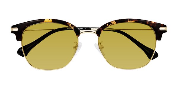 Front of Obrien in Tortoise