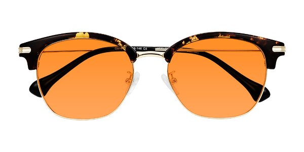 Front of Obrien in Tortoise