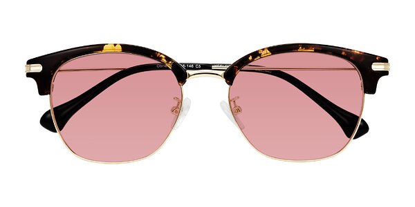 Front of Obrien in Tortoise