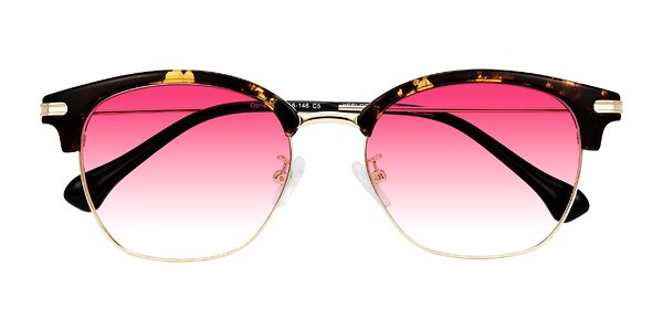 Front of Obrien in Tortoise