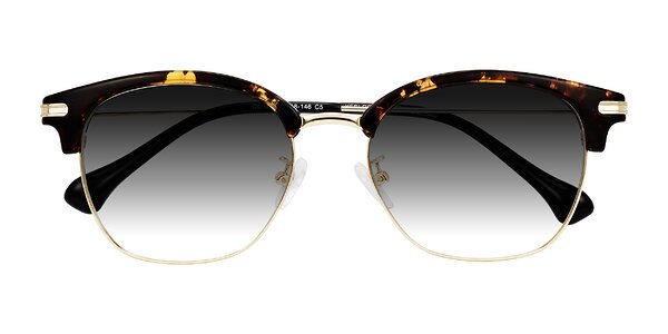 Front of Obrien in Tortoise