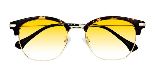 Front of Obrien in Tortoise