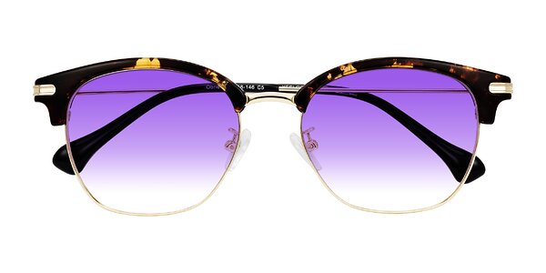 Front of Obrien in Tortoise