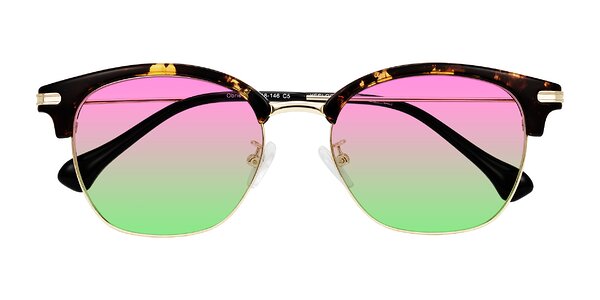 Front of Obrien in Tortoise