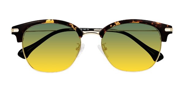 Front of Obrien in Tortoise