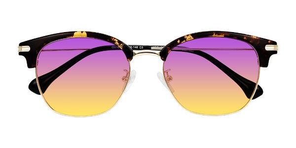 Front of Obrien in Tortoise