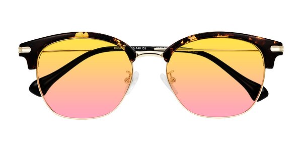 Front of Obrien in Tortoise