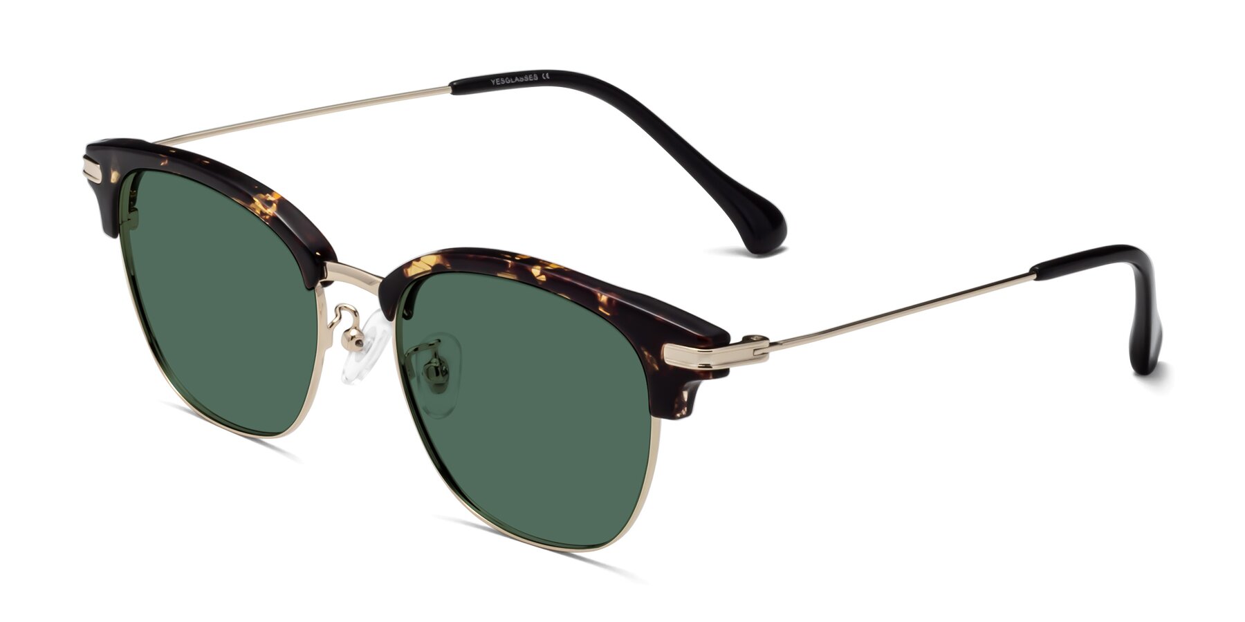 Angle of Obrien in Tortoise with Green Polarized Lenses