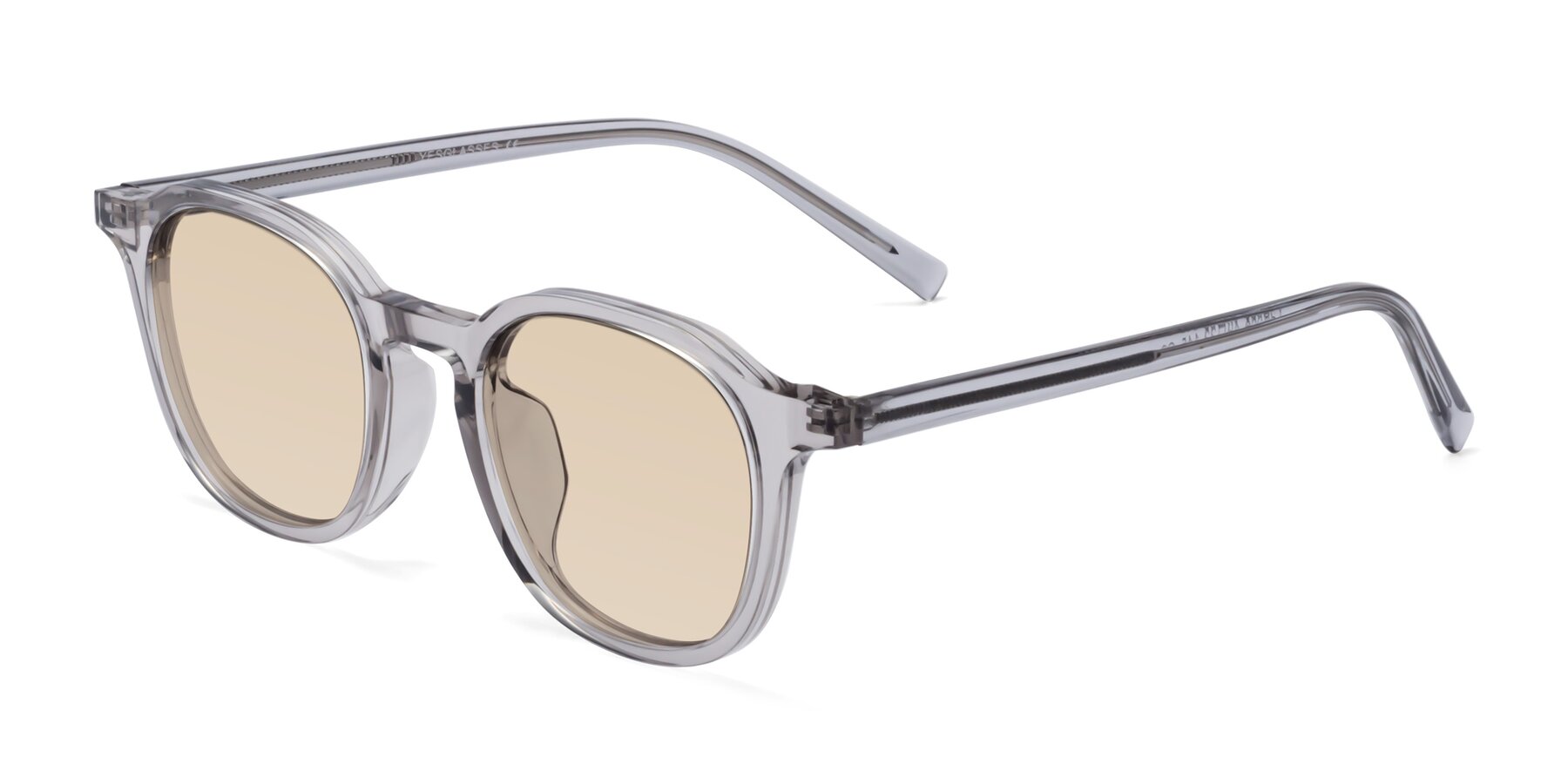 Angle of LaRode in Translucent Gray with Light Brown Tinted Lenses