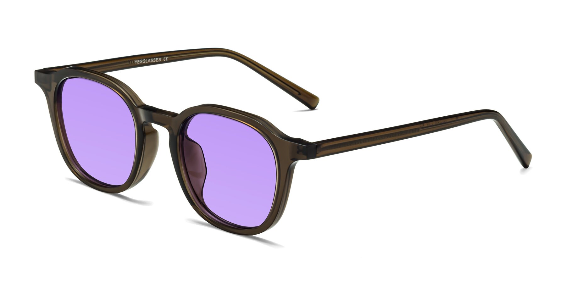 Angle of LaRode in Coffee with Medium Purple Tinted Lenses