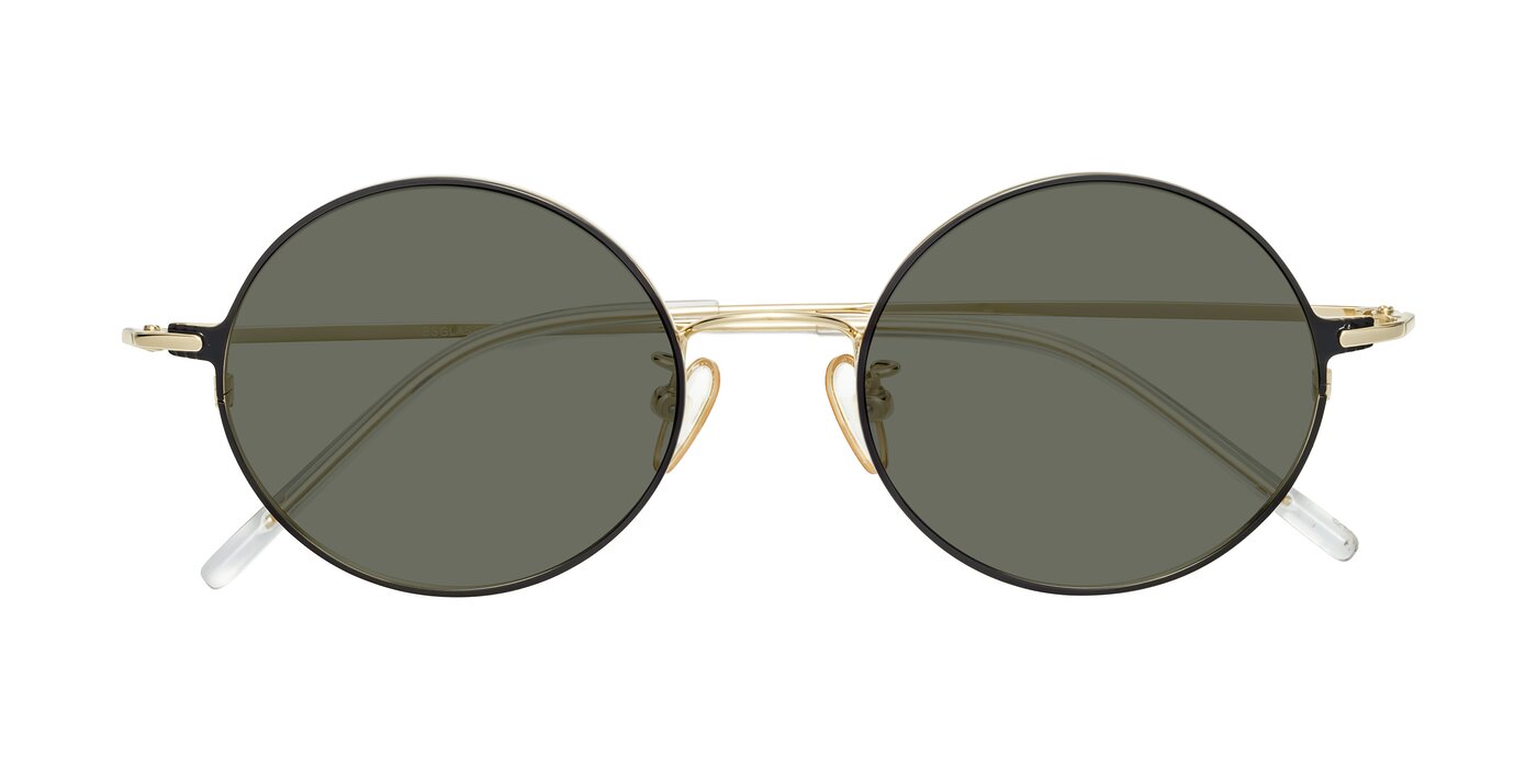 18009 - Black / Gold Polarized Sunglasses