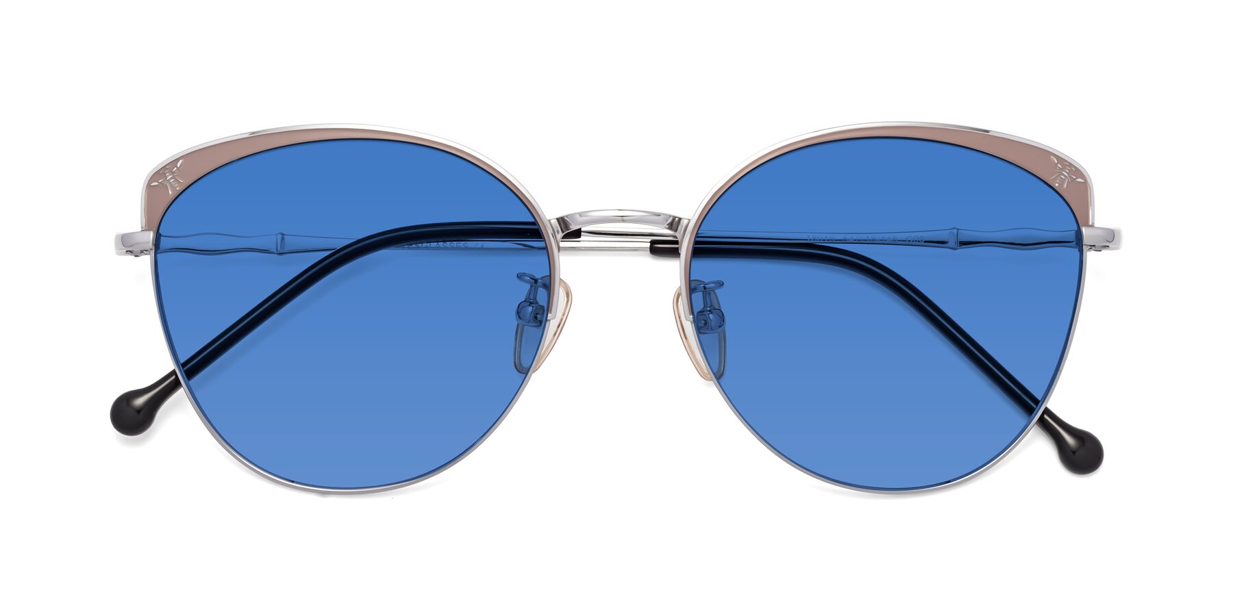 Folded Front of 18019 in Tan-Silver with Blue Tinted Lenses