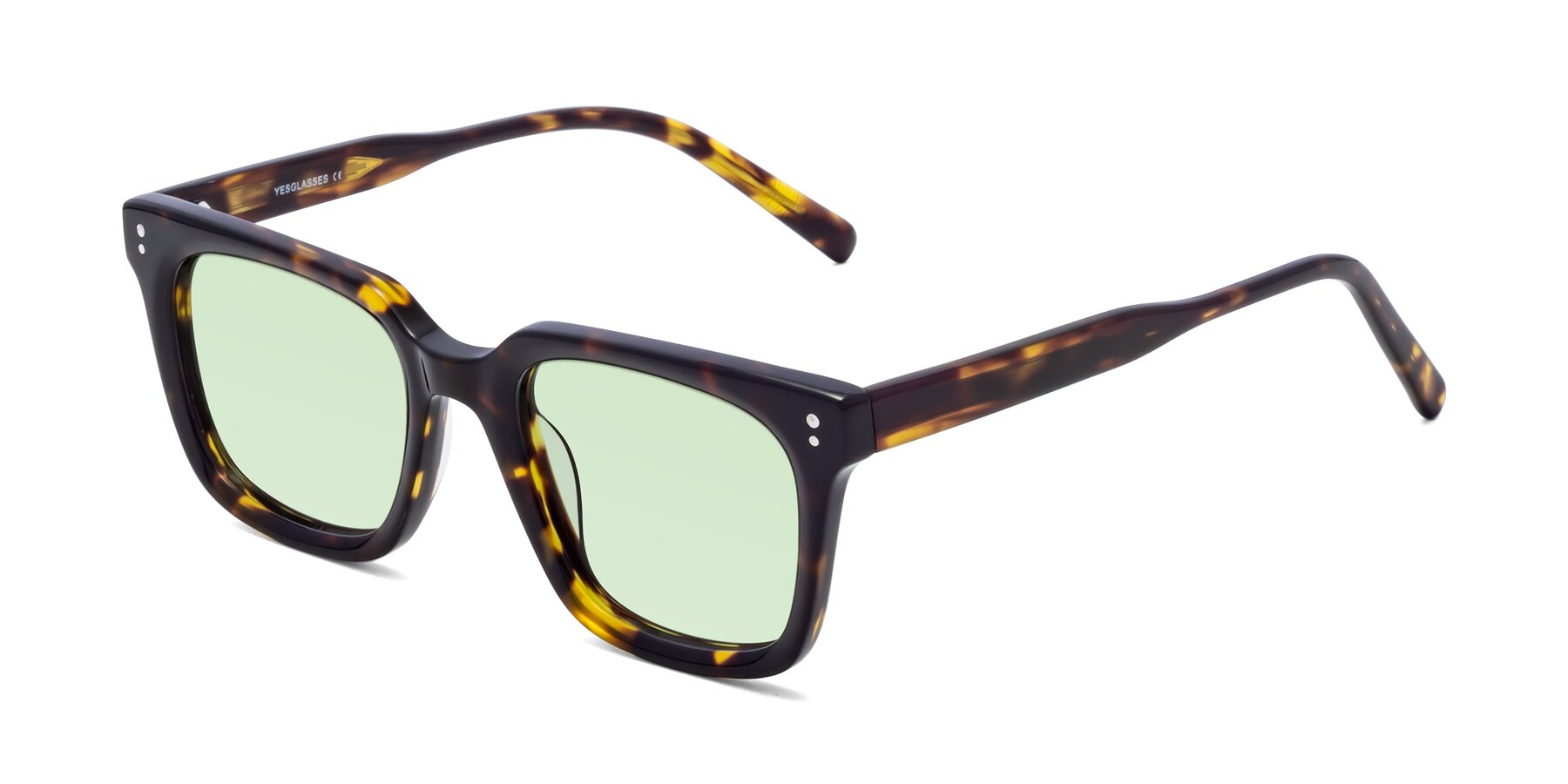 Angle of Clark in Tortoise with Light Green Tinted Lenses