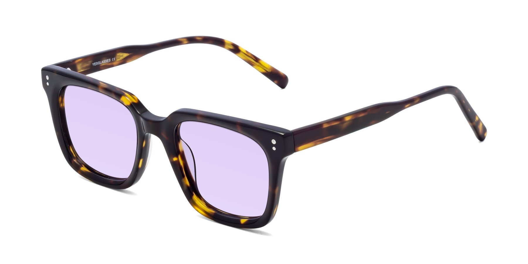 Angle of Clark in Tortoise with Light Purple Tinted Lenses
