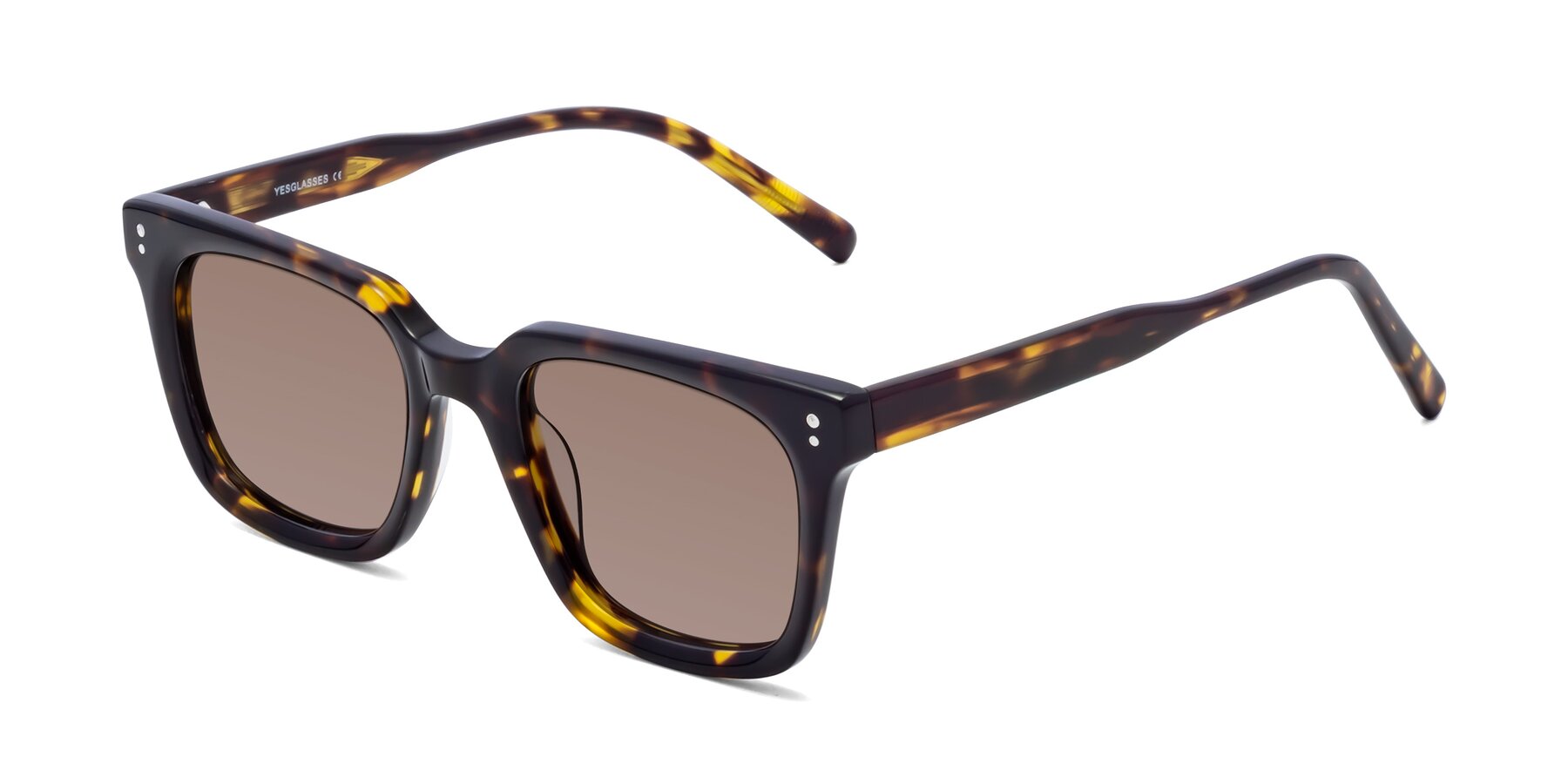 Angle of Clark in Tortoise with Medium Brown Tinted Lenses