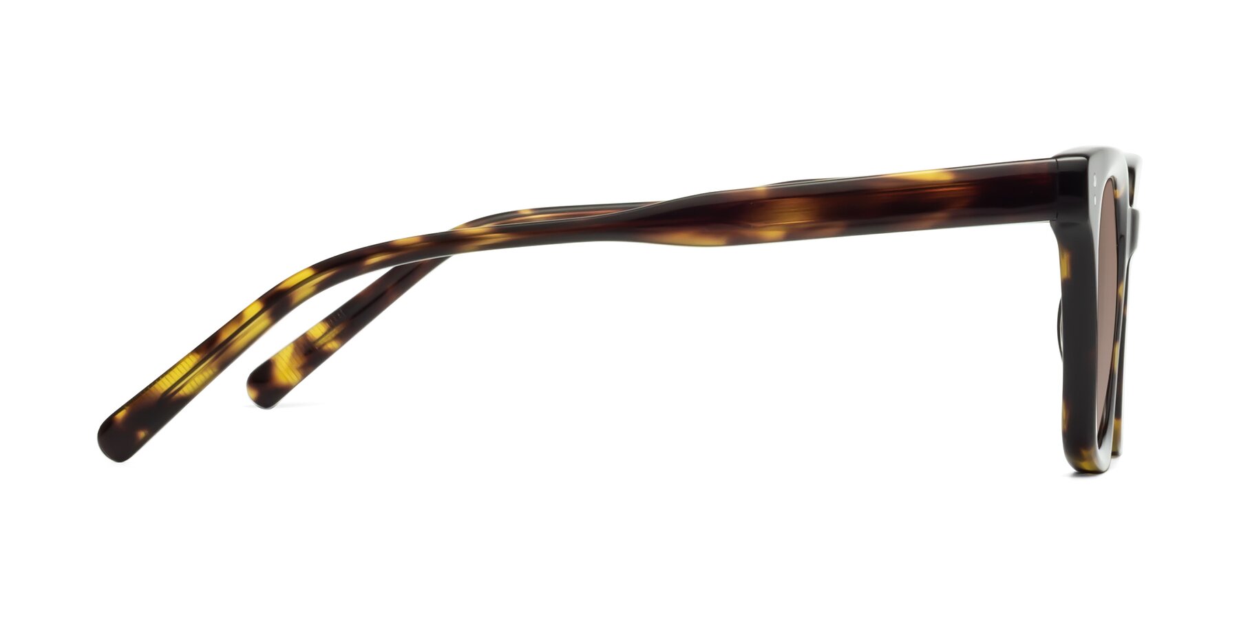 Side of Clark in Tortoise with Medium Brown Tinted Lenses