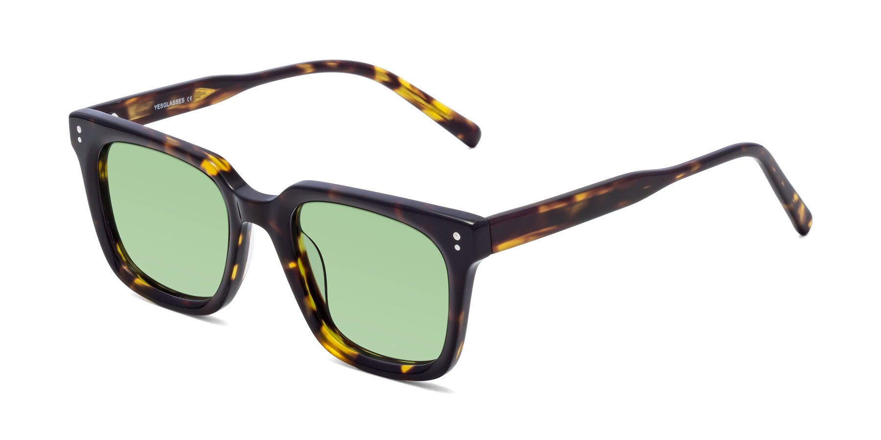 Angle of Clark in Tortoise with Medium Green Tinted Lenses
