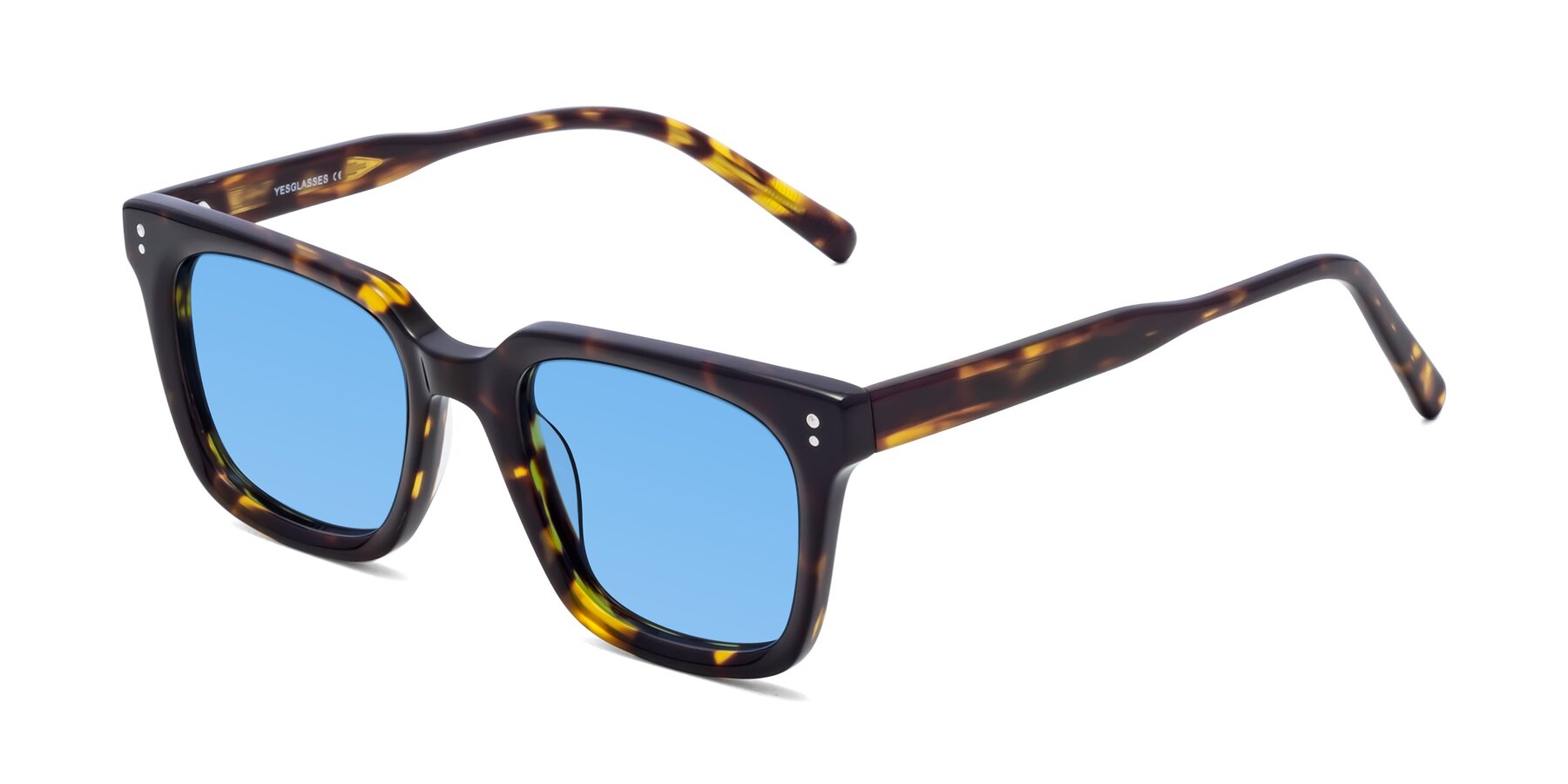 Angle of Clark in Tortoise with Medium Blue Tinted Lenses