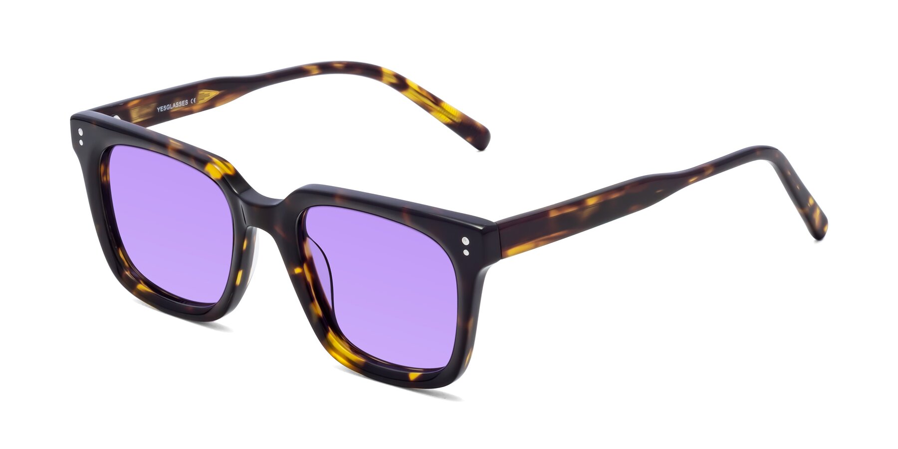 Angle of Clark in Tortoise with Medium Purple Tinted Lenses