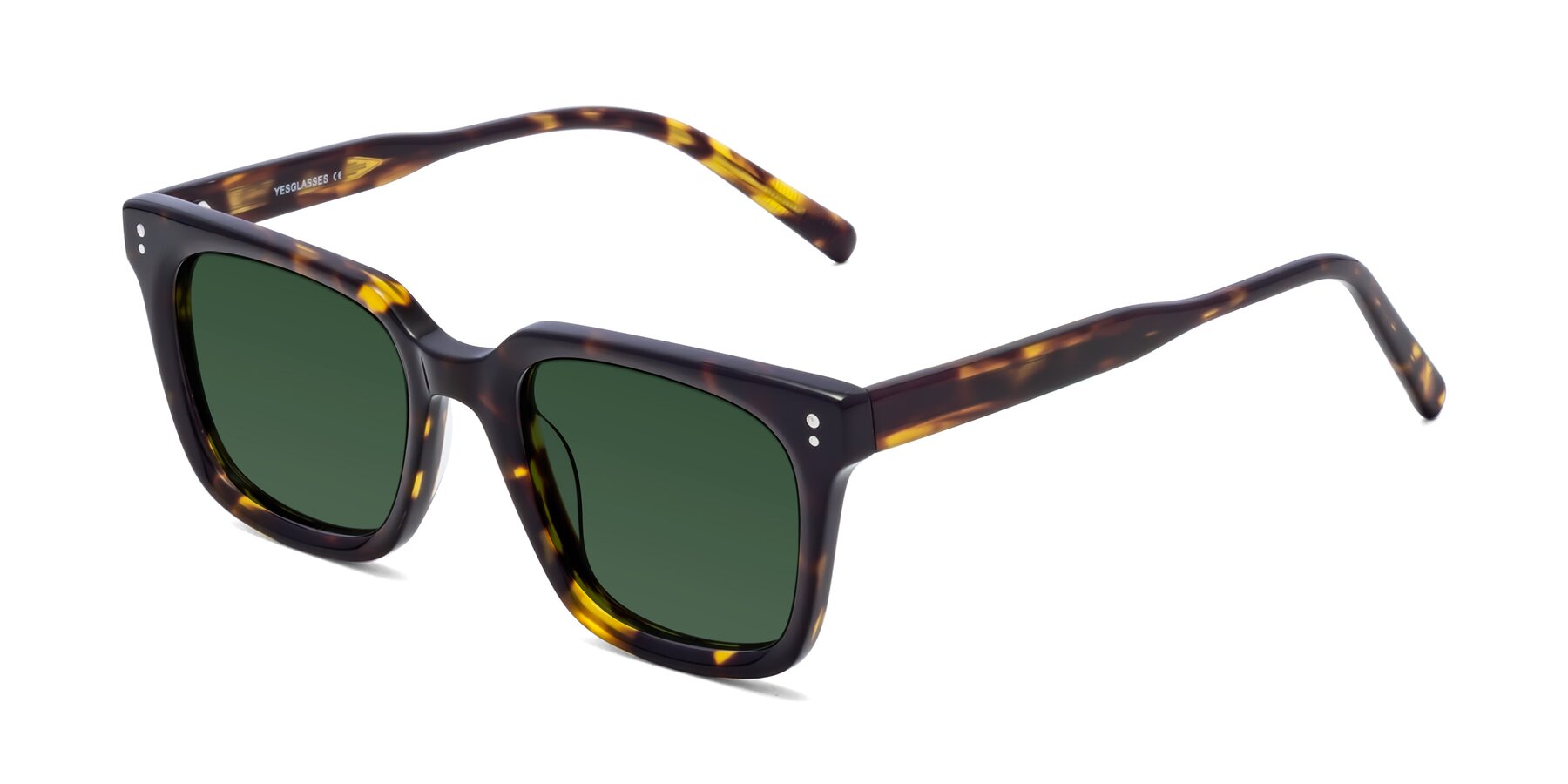 Angle of Clark in Tortoise with Green Tinted Lenses