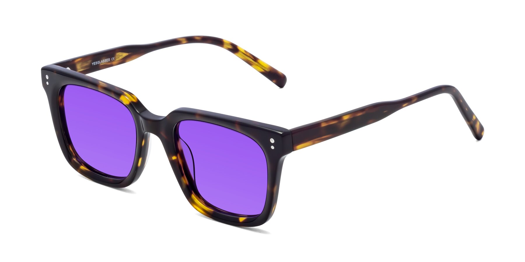 Angle of Clark in Tortoise with Purple Tinted Lenses