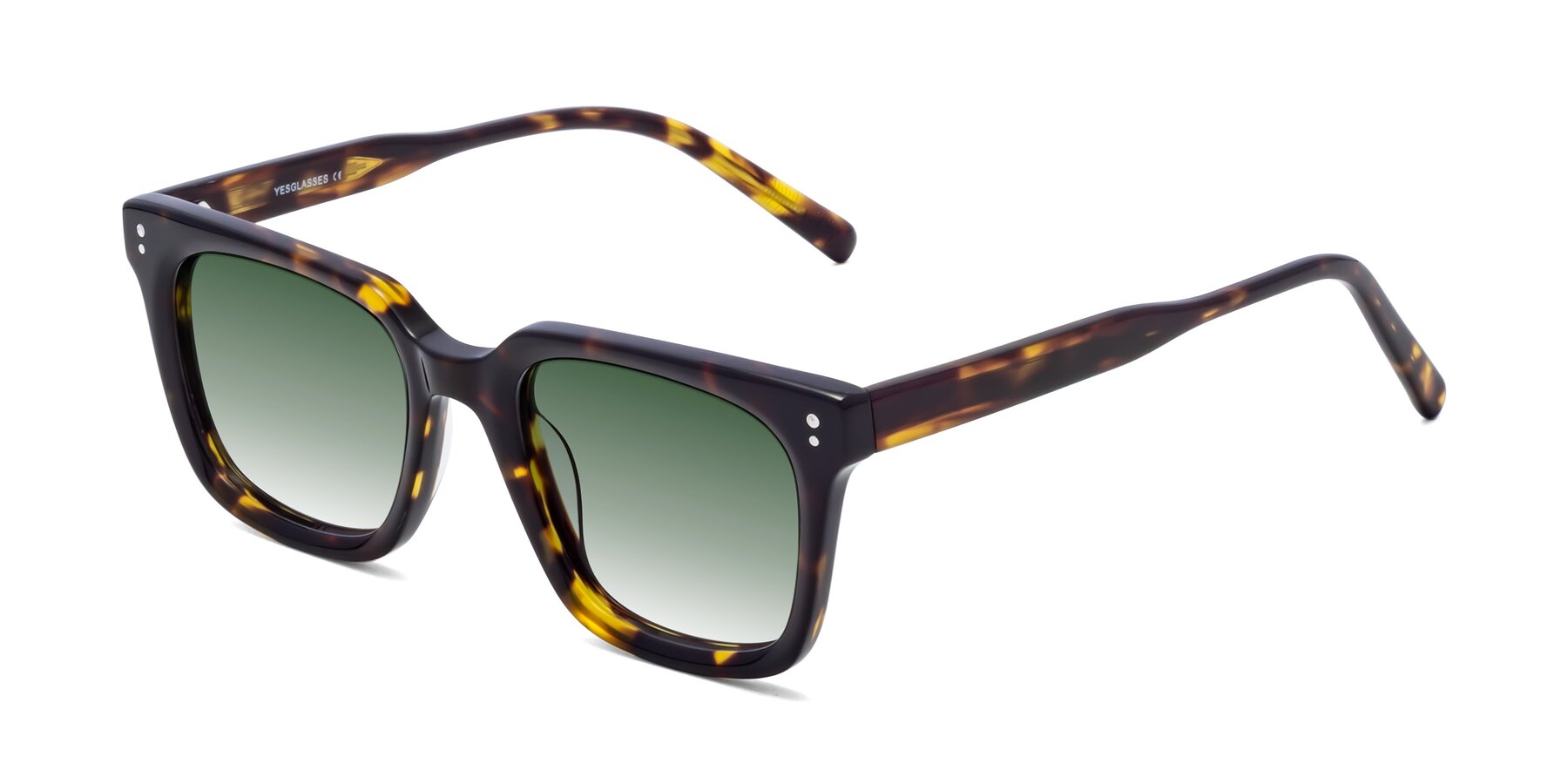 Angle of Clark in Tortoise with Green Gradient Lenses