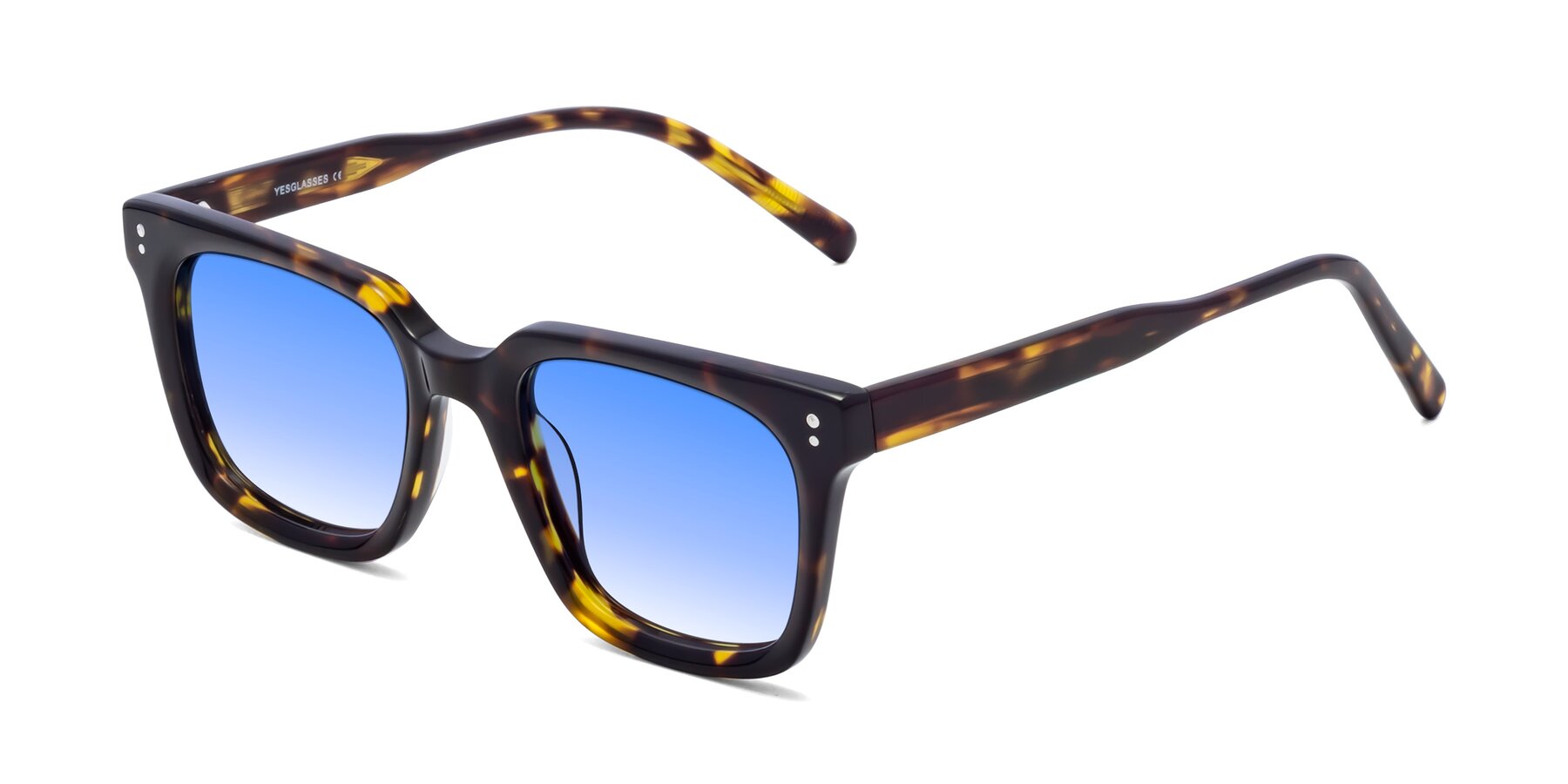 Angle of Clark in Tortoise with Blue Gradient Lenses
