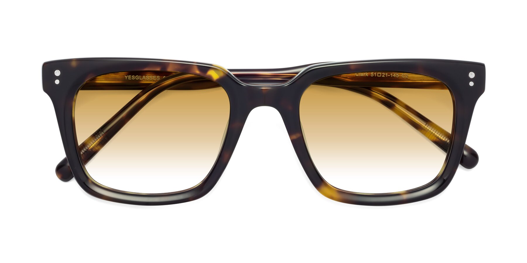 Folded Front of Clark in Tortoise with Champagne Gradient Lenses