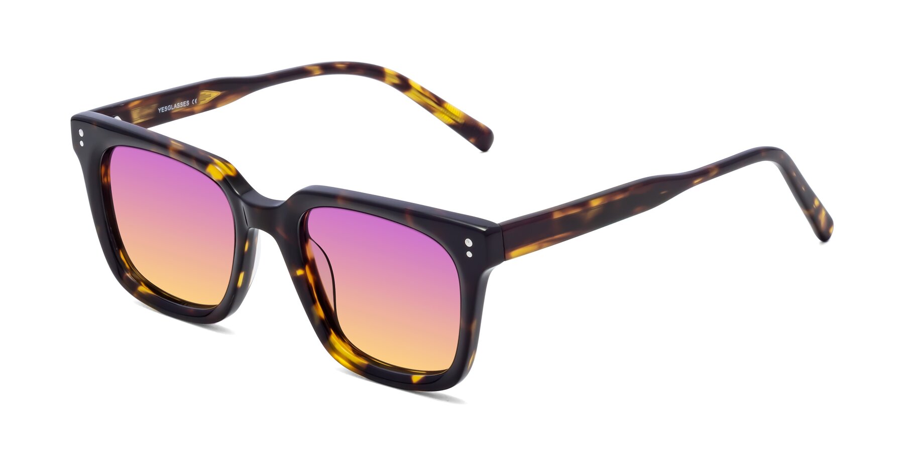 Angle of Clark in Tortoise with Purple / Yellow Gradient Lenses