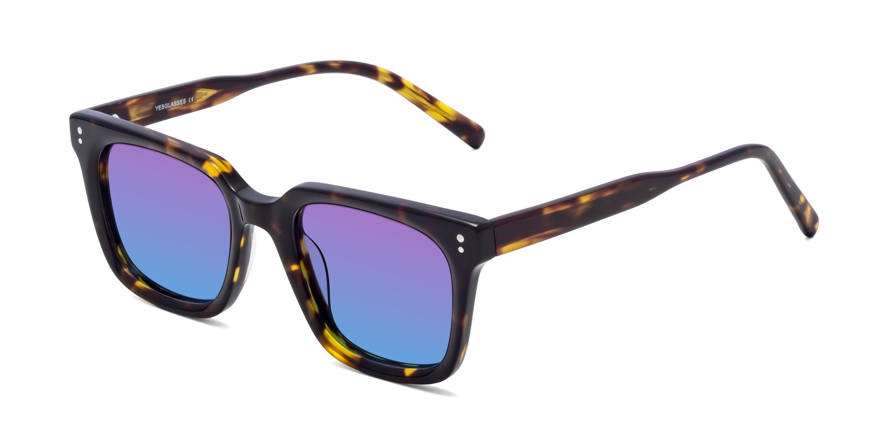 Angle of Clark in Tortoise with Purple / Blue Gradient Lenses