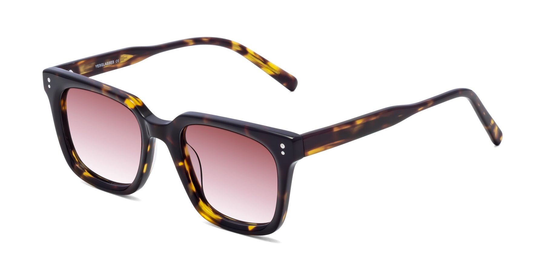 Angle of Clark in Tortoise with Garnet Gradient Lenses