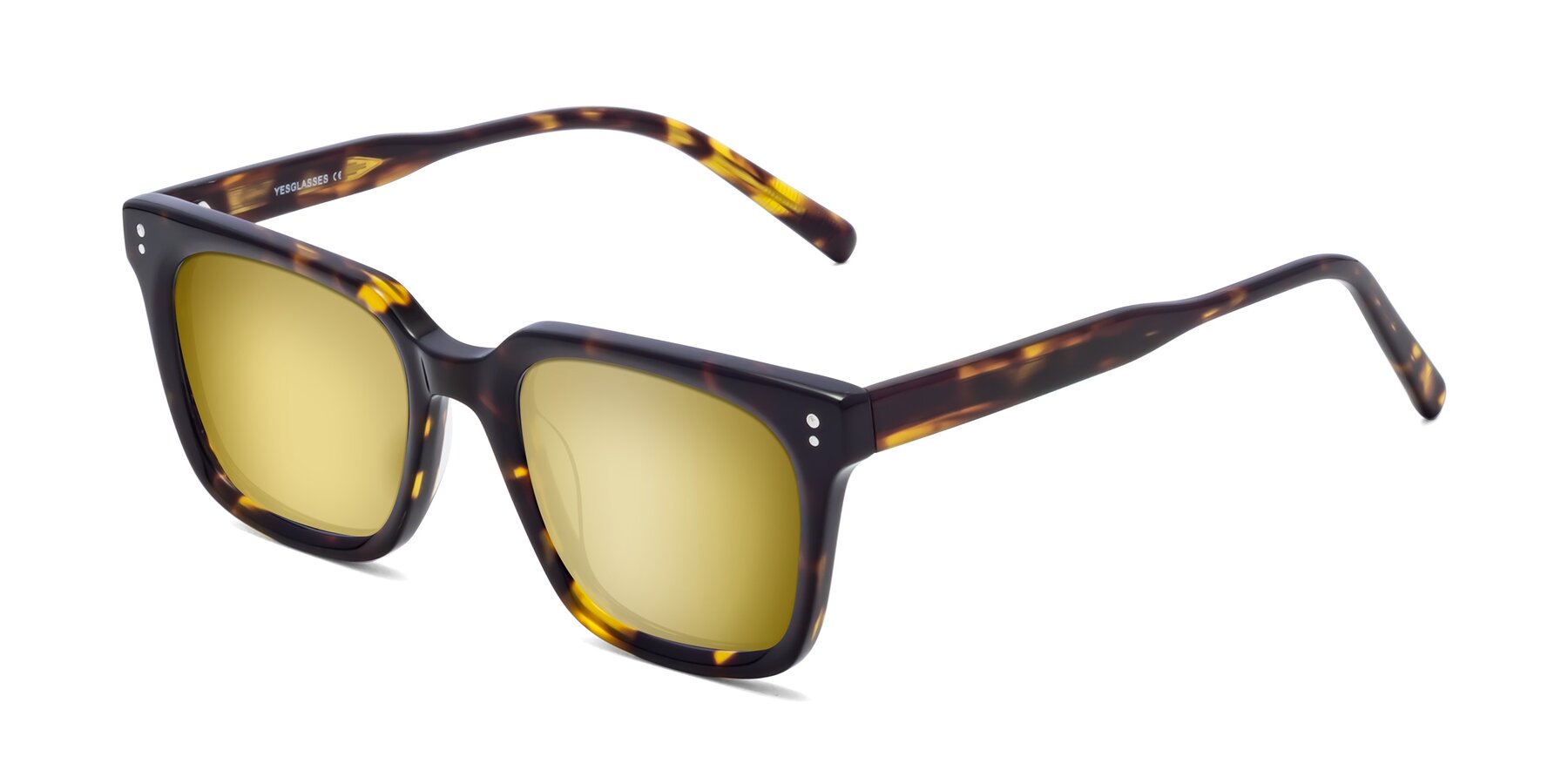 Angle of Clark in Tortoise with Gold Mirrored Lenses