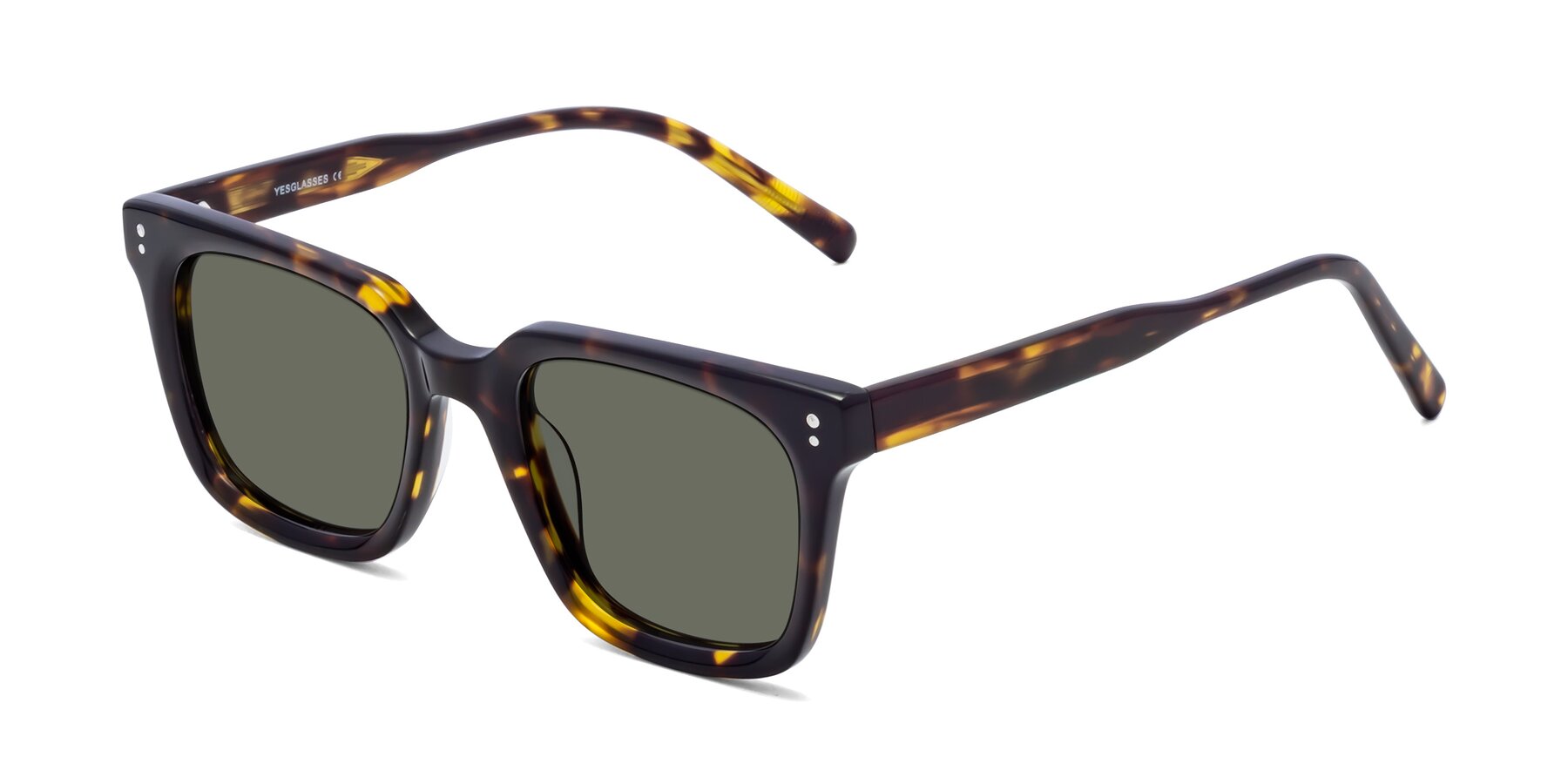 Angle of Clark in Tortoise with Gray Polarized Lenses