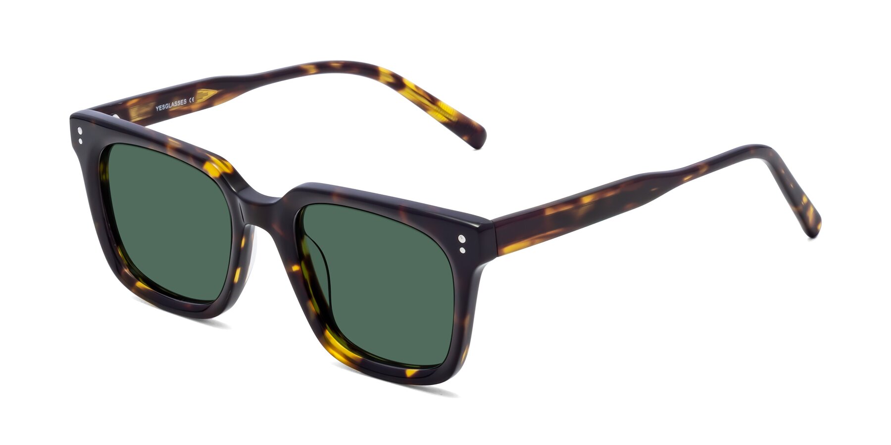 Angle of Clark in Tortoise with Green Polarized Lenses